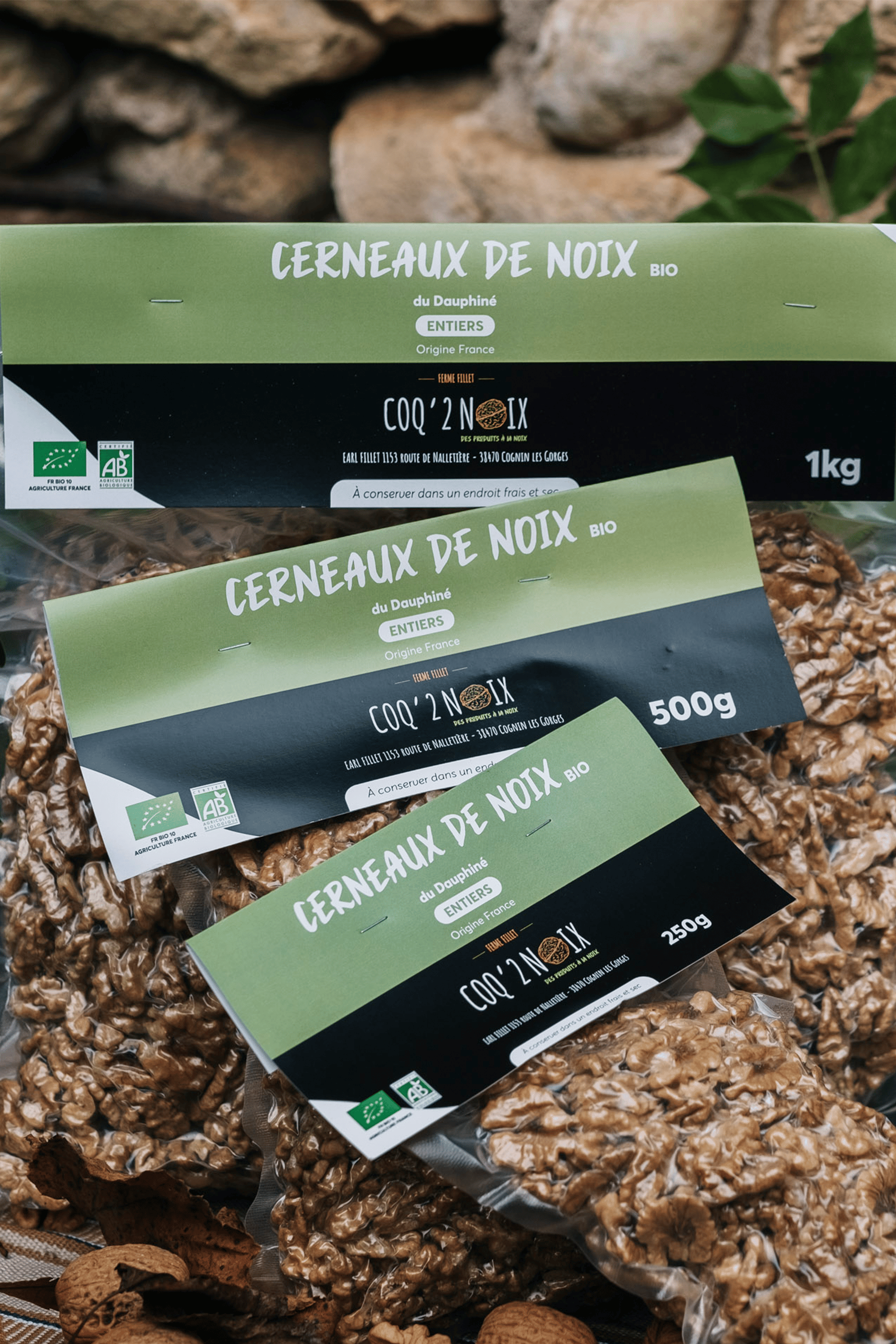 Cerneaux de noix BIO